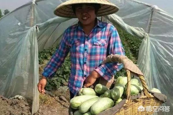 旭日阳刚王旭车祸:在农村当网红有什么感觉？