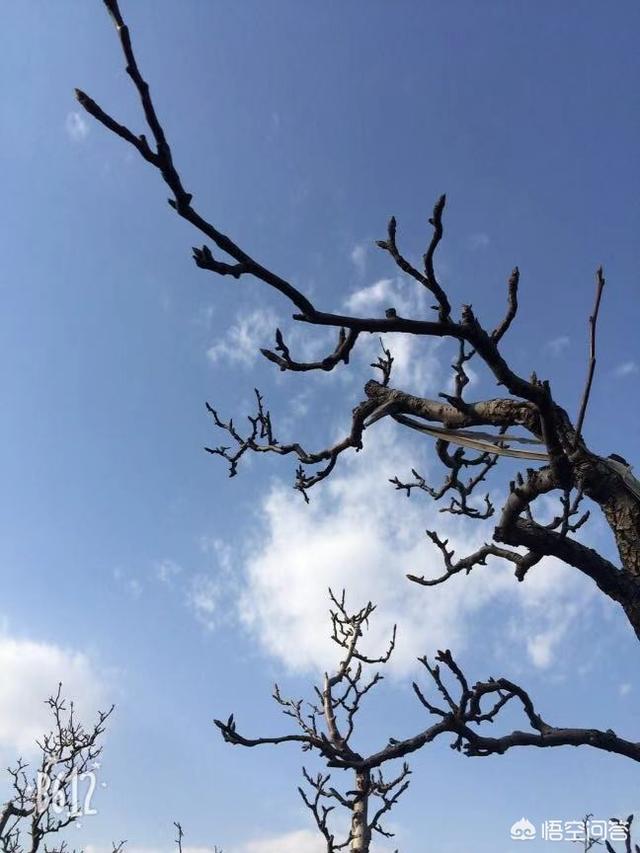 轻创业的平台有哪些推荐的？