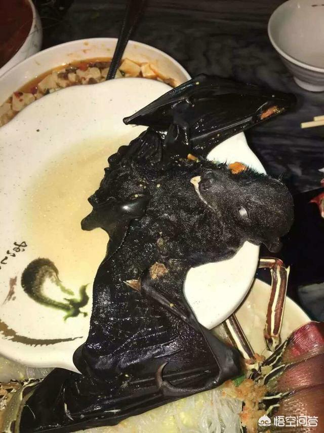 去帕劳旅游,机票和酒店,三天出海的行程都已订好,人均还需要带多少美金合适？帕劳吃饭大概在哪个价位？