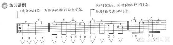 琴庐乐器吉他谱借我(吉他初学者怎么练习才能高效一点？