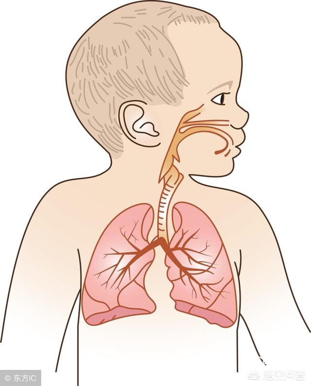 头条问答 - 48天宝宝得了急性支气管炎,要住院输液,好心疼,以后要怎么