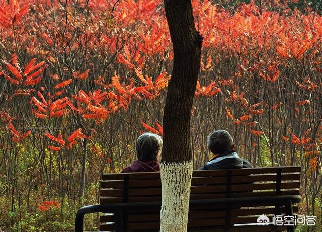 明天是重阳节了,以重阳节为题能写什么诗呢？