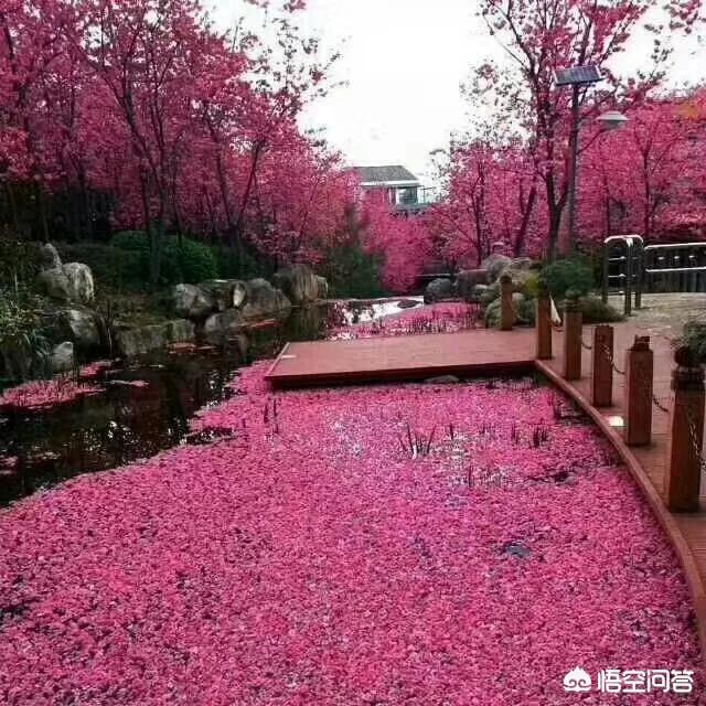 赵丽颖跟谁结婚了:10月16日，赵丽颖和冯绍峰结婚登记，如何看待娱乐圈婚姻？
