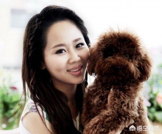金鹰女神迪丽热巴:2018年的金鹰节女神为什么不是杨紫你怎么看