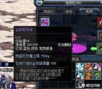 dnf宠物大全:dnf中带什么宠物比较帅气？ dnf宠物大全可交易
