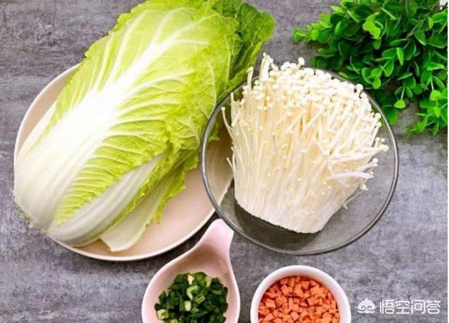 mag海藻粉好吗:狗狗毛发粗糙吃什么食物好？ mag海藻粉推荐