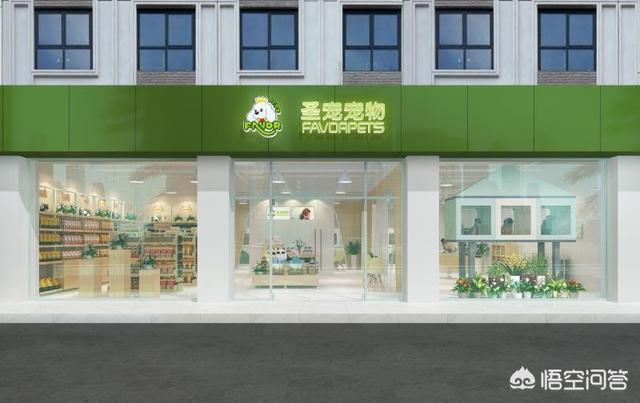 宠物饲养许可证在哪里办:开宠物店，要办什么手续？