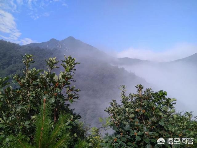 终南山修行人:古往今来，为何隐士、修行者会首选终南山隐逸修行？