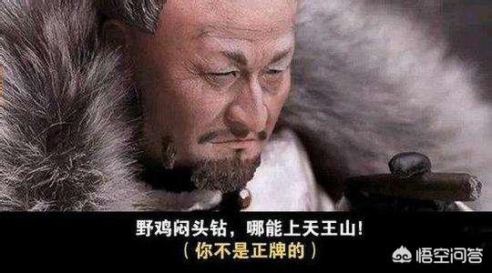 藏獒联盟网搬家:如何看待一些游戏中，玩家之间尔虞我诈的现象？