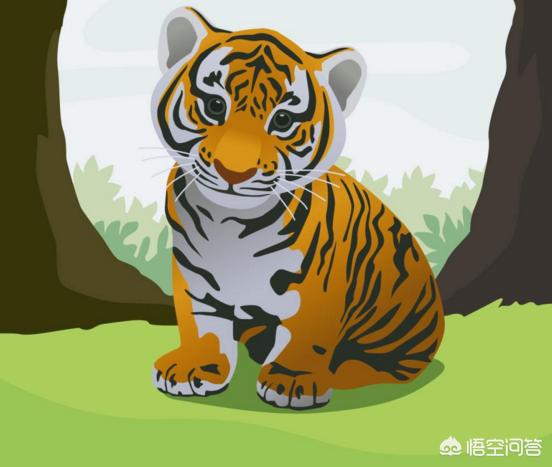 桑给巴尔豹:农村老话“三虎出一豹，三斑出一鹞”是什么意思你怎么理解