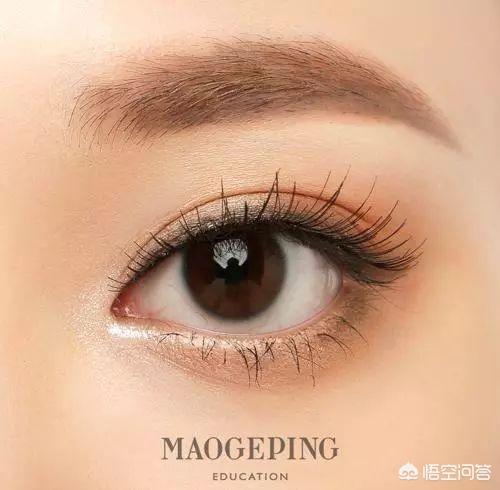 怎样学会眉毛的入门画法呢？插图56