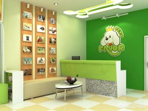 卫塔卡夫猫粮加盟:学生创业开一家宠物店好吗？