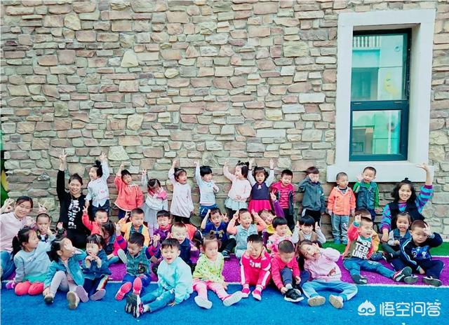 你觉得幼儿园和早教哪个行业更有优势？