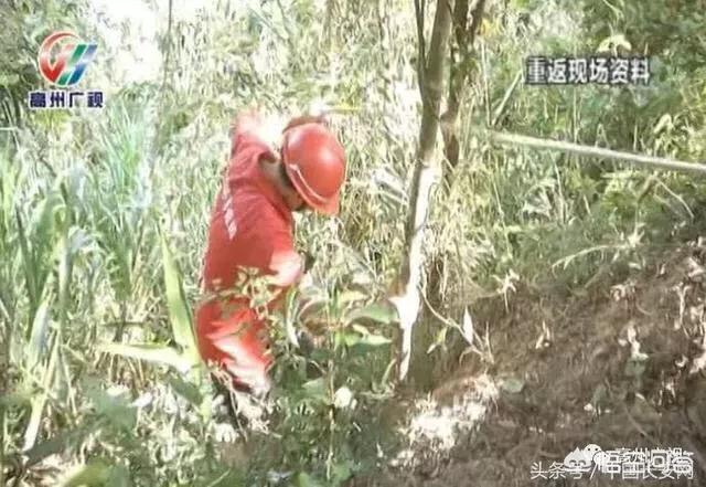 出生女婴抛下山崖:男子因重男轻女将女儿抛下山崖,是遗弃罪还是故意杀人罪？
