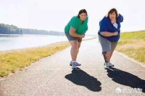 正确的跑步减肥方法(正确的跑步减肥方法慢跑的正确方法)