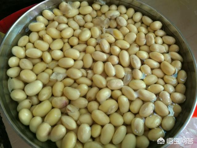 在农村,用什么办法生黄豆芽才能使豆芽长得又快又好吃？