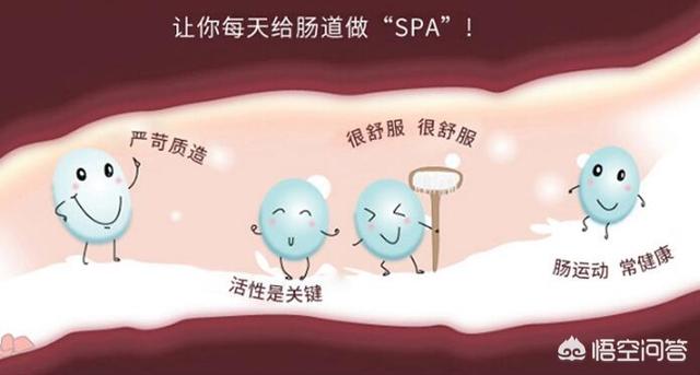 bixiongnaicha:比熊喝的羊奶粉哪个牌子好？