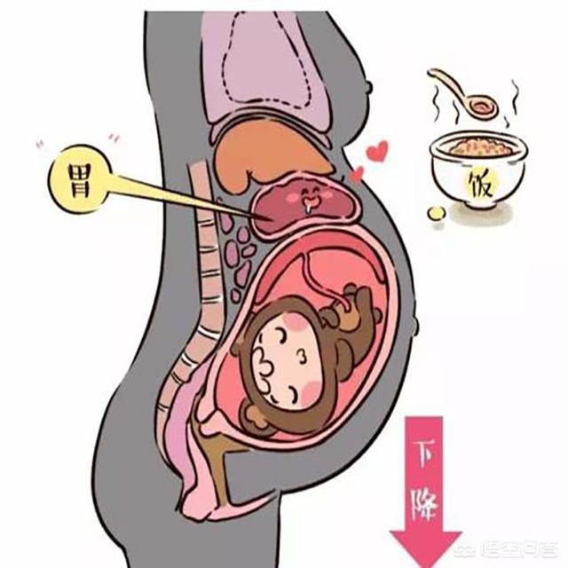 生孩子前的征兆:临产前会有什么症状，腰会酸疼吗？