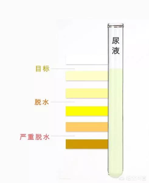 什么情况尿液是黄色的,尿液是黄色的什么原因