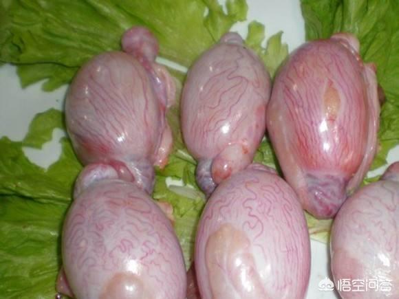 农村常见的羊蛋、牛蛋可以吃吗,有什么作用？
