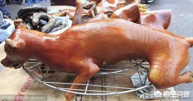 杭州养狗制度出来了,你觉得给力吗？你怎么看？