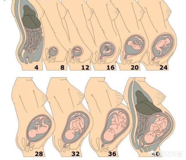七个怎么看-七个怎么看七个怎么办