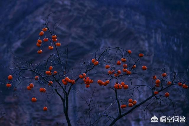 头条问答 - 图像设计色彩中的高调,中调,低调该怎么调配?(5个回答)