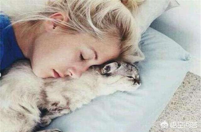 为什么晚上睡觉时猫咪总喜欢靠近自己的头，而且咕噜声还很大？插图1