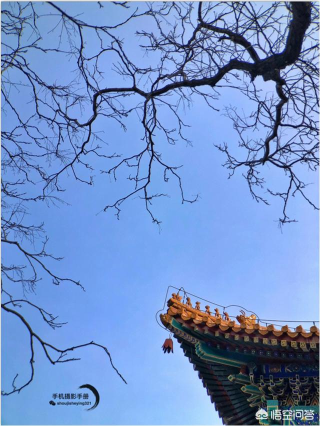 郑媛媛事件原始照片:作为摄影师你在分享图片的时候会打上自己的水印吗