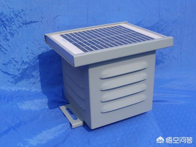超声波驱狗器:家用庭院用什么东西驱鸟驱猫好？