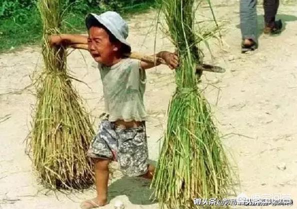 云南豪猪妹:为什么有人说有些云南山歌低俗？