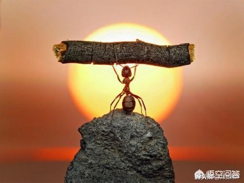 云南豪猪妹:为什么有人说有些云南山歌低俗？
