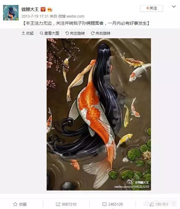 为什么都说转发锦鲤能带来好运