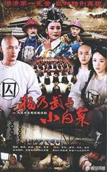 杨乃武小白菜案让数百官吏丢了顶戴花翎,受冤主角结局如何？