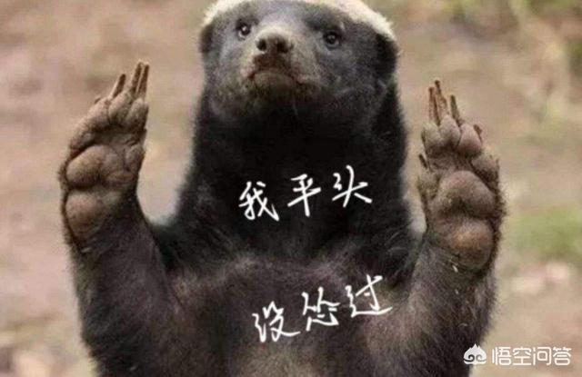 网友称,非洲有平头哥,lpl有麻辣香锅,你觉得打法很激进的mlxg和卡萨相比谁更适合八强赛？