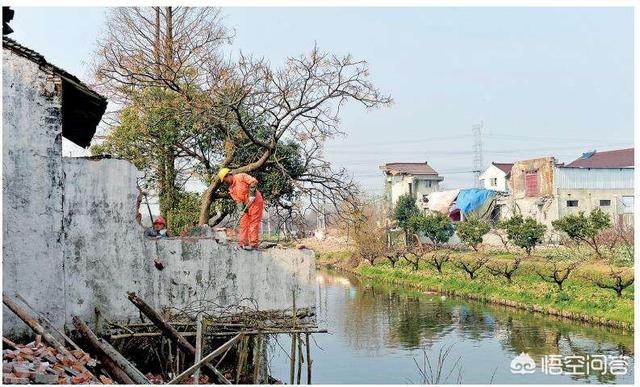 艺人大鹏违建拆除:违建拆迁有没有补偿？有何依据？