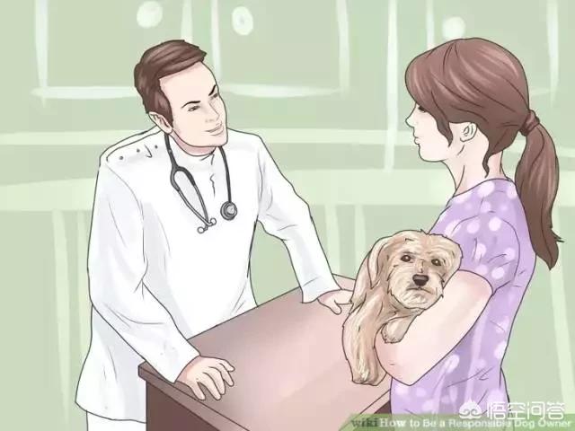 40天的小狗有点拉稀怎么办:狗狗拉稀怎么办？需要去医院吗？该用什么药呢？