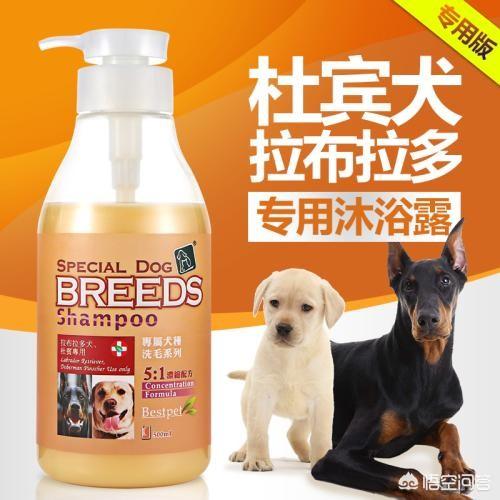 狗沐浴露哪个牌子好用:哪款狗狗沐浴杀菌止痒的效果好？