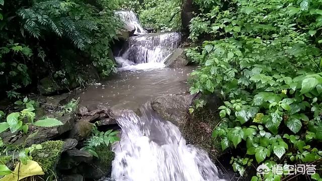终南山修行人:古往今来，为何隐士、修行者会首选终南山隐逸修行？