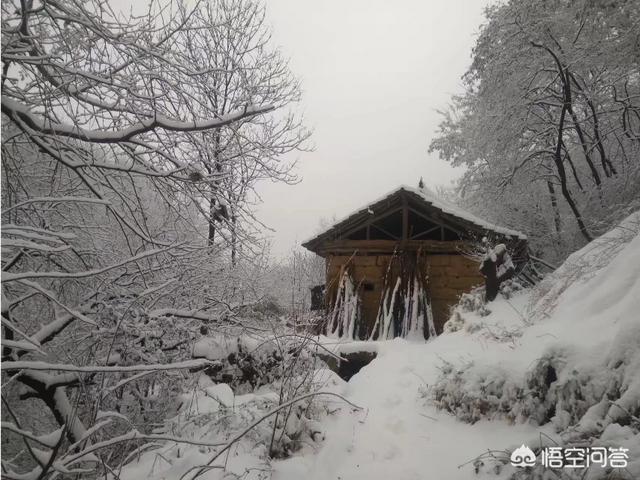 终南山修行人:古往今来，为何隐士、修行者会首选终南山隐逸修行？