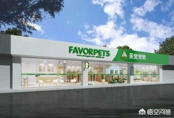 不想在苏州打工了,想回皖北老家发展,回去打工和创业该怎么选？