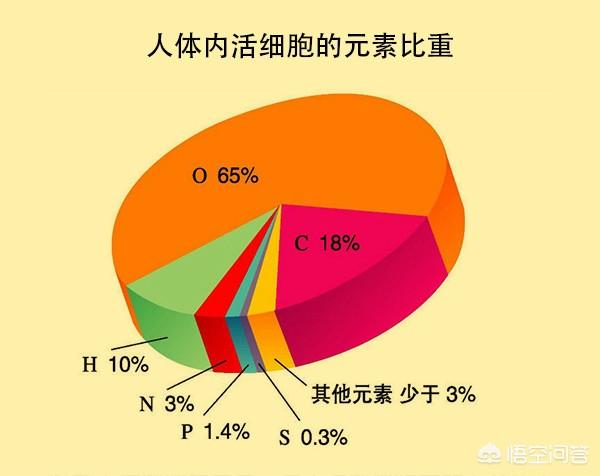 把人体所有的原子排成一排有多长呢？
