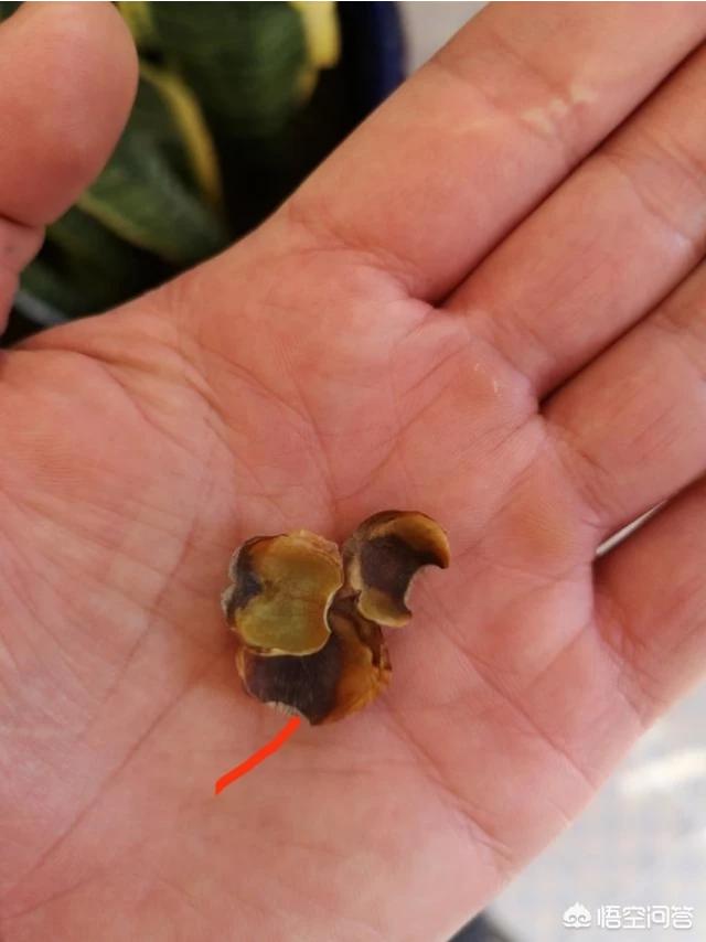 雨付梦妮:除了《不负骤雨》、《时间煮雨》之外有哪些可推荐的关于雨的歌？