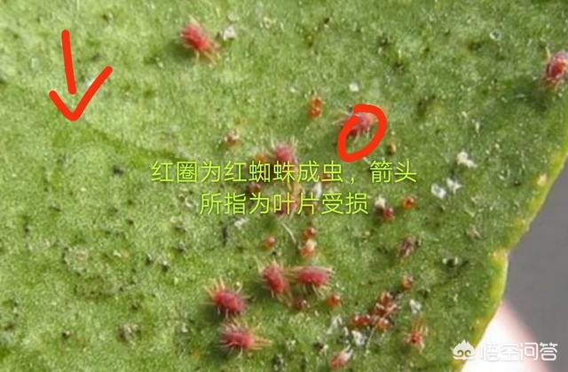 雨付梦妮:除了《不负骤雨》、《时间煮雨》之外有哪些可推荐的关于雨的歌？