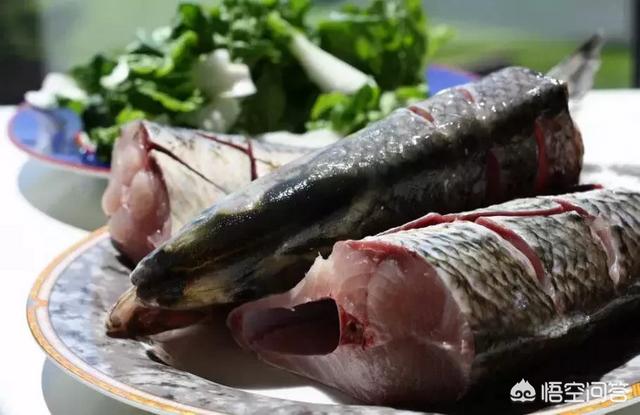 淡水鱼中什么品种最好吃，有的海鱼为什么比淡水鱼好吃？
