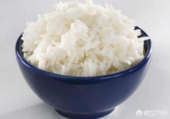 减脂时主食中米饭、面条、馒头、面包哪种好？
