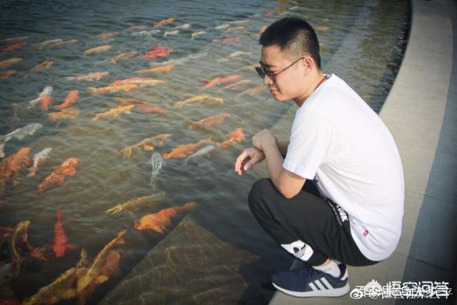 栾云平:郭德纲为什么介绍栾云平说是爱徒