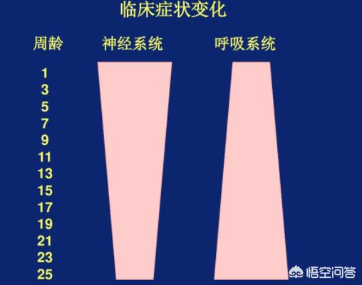 猪的伪狂犬病的症状:猪的伪狂犬病是一种什么样的疾病？怎样治疗最有效？