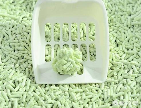 猫砂购买:便宜的豆腐猫砂好用吗？很便宜的猫砂会有粉尘吗？