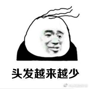 爱狗人士:对于当下打人的爱狗人士你怎么看？